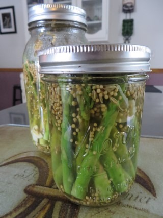 Pickled Asparagus Recipe