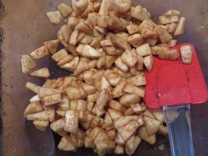 Apple Hand Pies Recipe (2)