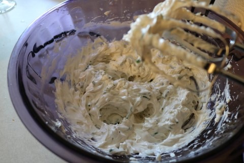 Chive Onion Chip Dip Recipe (4)